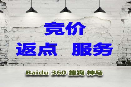 提升SEM投放转化率的实战案例分析